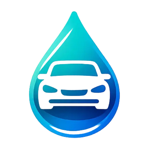 Lavage auto à domicile Mane